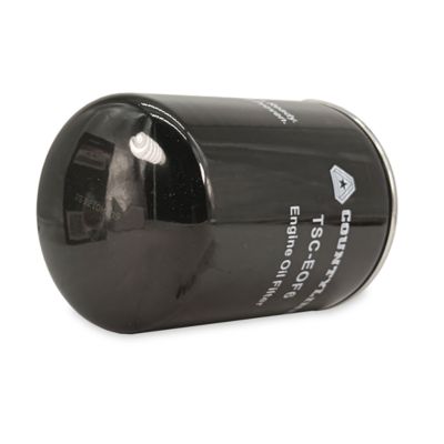 Image showing  Engine Oil Filter, EOF6