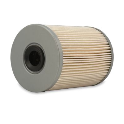 Image showing  Fuel Filter, FF5