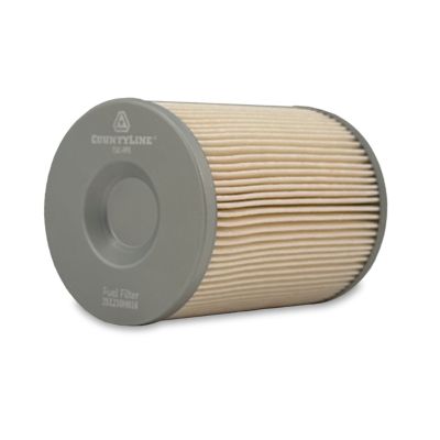 Image showing  Fuel Filter, FF5