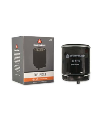 Image showing  Fuel Filter, FF10