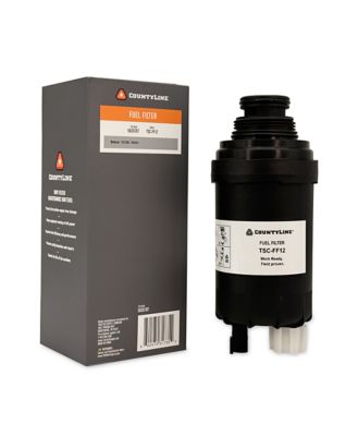 Image showing  Fuel Filter, FF12
