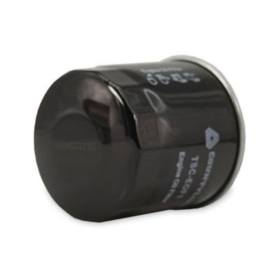 Image showing  Engine Oil Filter, EOF1