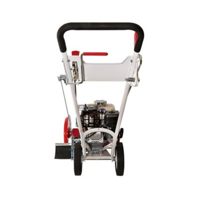 Image showing  Pro Lawn Edger