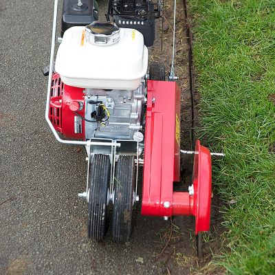 Image showing  Pro Lawn Edger