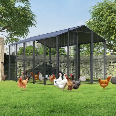 Veikous 10.6 ft x 6.2 ft Large Chicken Coop with Metal Roof