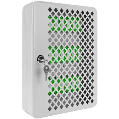 Image showing  27 Capacity Fixed Position Mesh Front Key Cabinet with Key Lock
