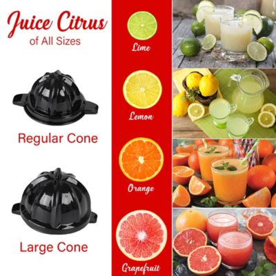Image showing  1-Speed Electric Citrus Juicer with 2 Cones and Stainless Steel Lever