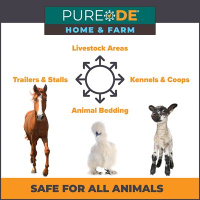 Image showing 5 th Pure DE Food Grade Diatomaceous Earth 20 lb.