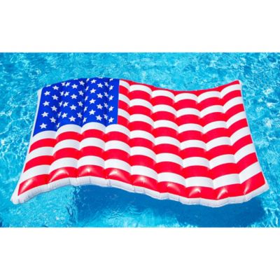 Image showing  American Flag Float