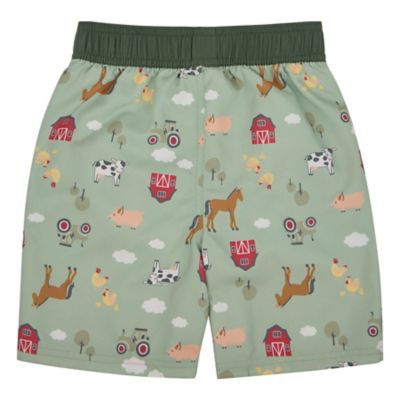 Image showing  Green Swim Shorts