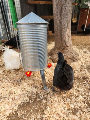 Image showing  Rugg'EGG' Ranch Poultry Silo Waterer