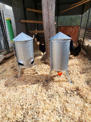 Image showing  Rugg'EGG' Ranch Poultry Silo Feeder