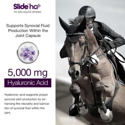 Image showing  Hyaluronic Acid UCII Collagen Supplement for Horses