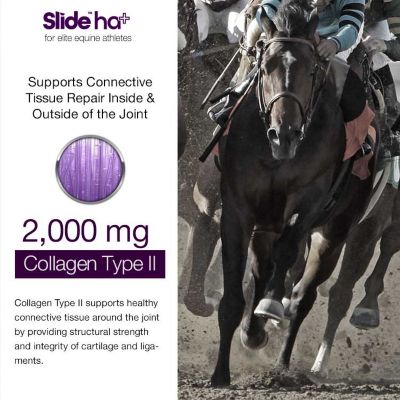 Image showing  Hyaluronic Acid UCII Collagen Supplement for Horses