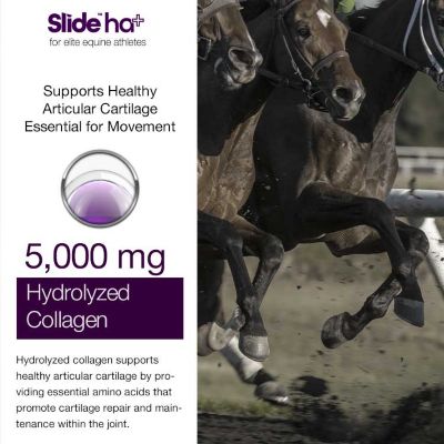 Image showing 5 th Slide Joint Care Hyaluronic Acid UCII Collagen Supplement for Horses