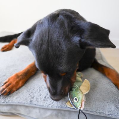 Image showing  Perch Plush Dog Toy