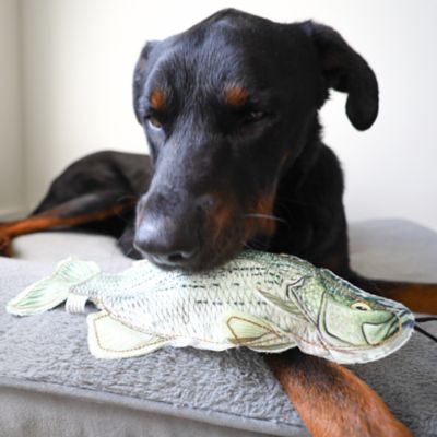 Image showing  Bass Plush Dog Toy