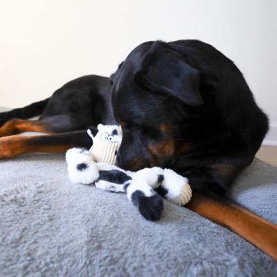 Image showing  Cow Plush Dog Toy