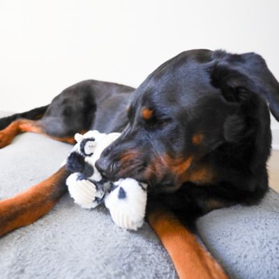 Image showing  Cow Plush Dog Toy