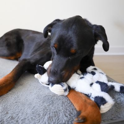 Image showing  Cow Plush Dog Toy