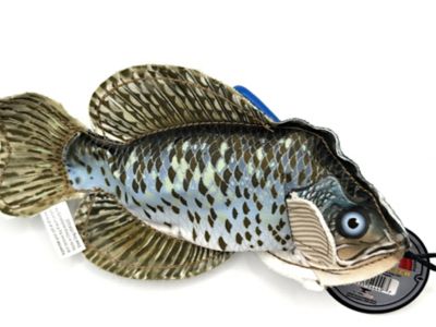 Image showing  Crappie Plush Dog Toy