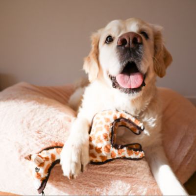 Image showing  Giraffe Safari Plush Dog Toy