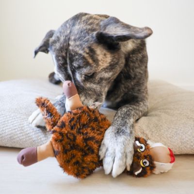 Image showing  Flat Leopard Plush Dog Toy