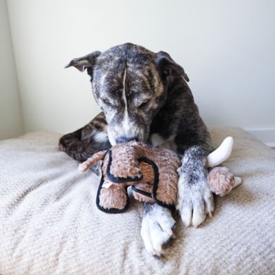 Image showing  Woolly Mammoth Plush Dog Toy