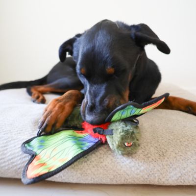 Image showing  Dragonfly Plush Dog Toy