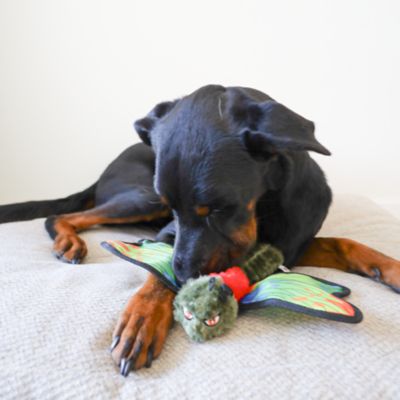 Image showing  Dragonfly Plush Dog Toy