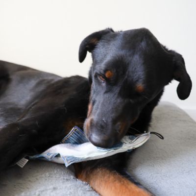 Image showing  Chinook Plush Dog Toy