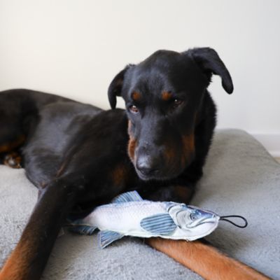 Image showing  Chinook Plush Dog Toy