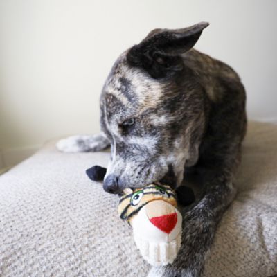 Image showing  Flat Tiger Plush Dog Toy
