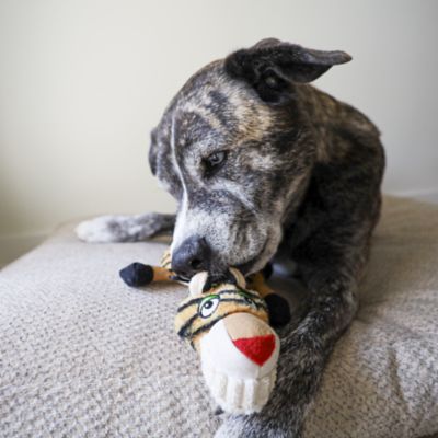 Image showing  Flat Tiger Plush Dog Toy