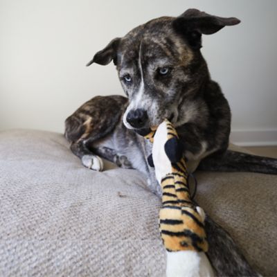 Image showing  Flat Tiger Plush Dog Toy