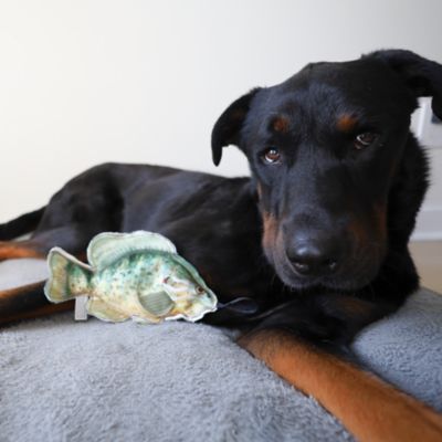 Image showing  Sunfish Plush Dog Toy