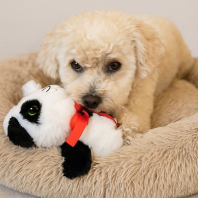 Image showing  Holiday Baby Panda Plush Dog Toy