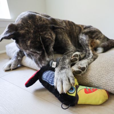 Image showing  Toucan Plush Dog Toy