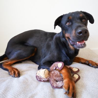 Image showing  Monkey Safari Plush Dog Toy