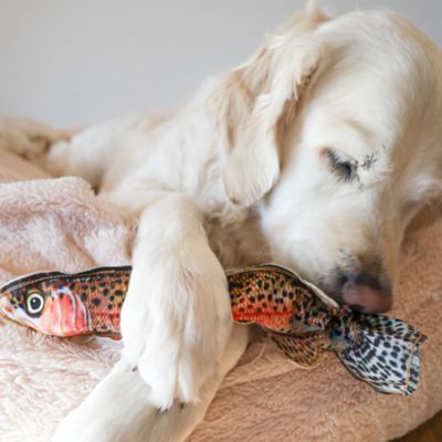 Image showing  Rainbow Trout Plush Dog Toy