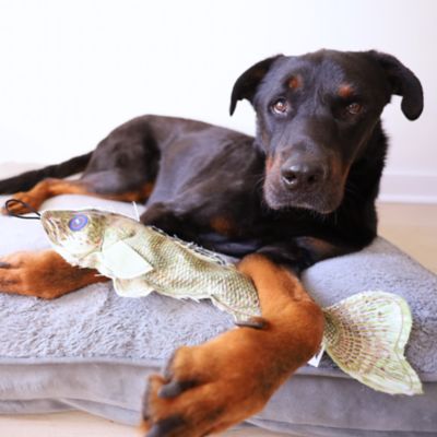 Image showing  Walleye Plush Dog Toy