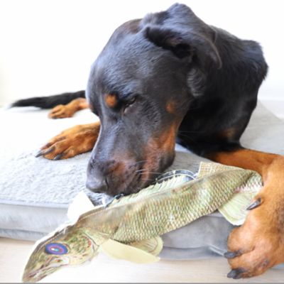 Image showing  Walleye Plush Dog Toy