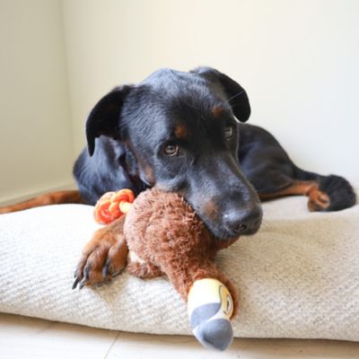 Image showing  Dodo Bird Plush Dog Toy