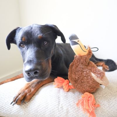 Image showing  Dodo Bird Plush Dog Toy