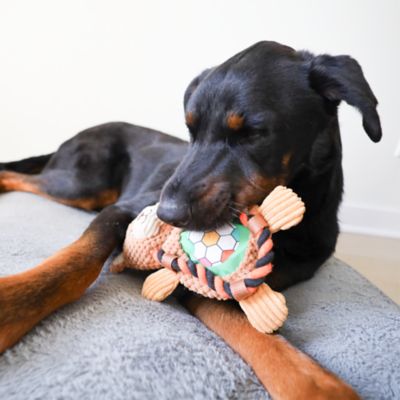 Image showing  Sport Bear Plush Dog Toy