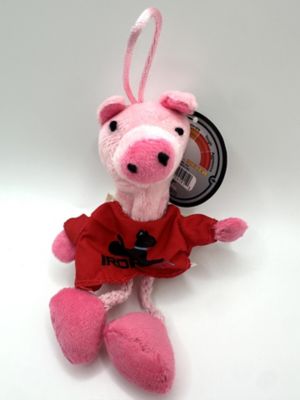 Image showing  Pasture Pals Piggy Cat Toy