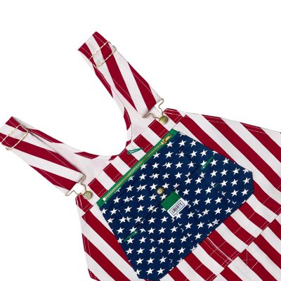 Image showing  Men's Liberty Springs Bib Overalls
