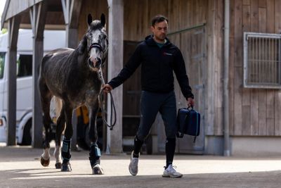 Image showing 8 th HorseLinkTech Compression Ice Cube Therapy Boots