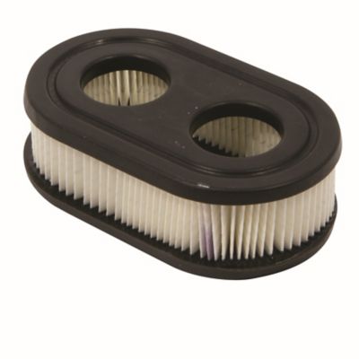 Image showing  Walk Air Filter Oval 593260.595191 5432