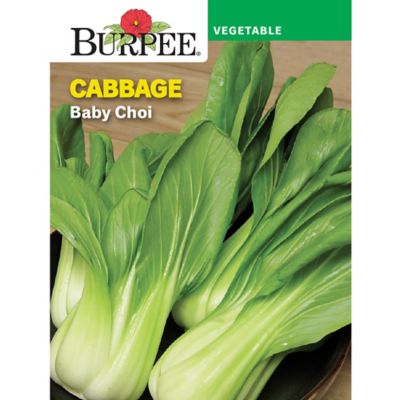 Burpee Baby Choi Cabbage Seeds